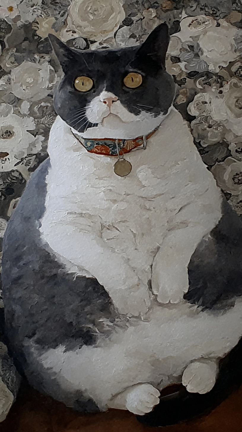 ぽっちゃり猫 5